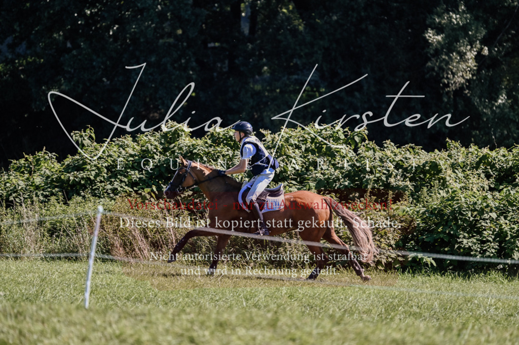 DSC_2067 | Pferde- und Turnierfotografie in Westsachsen. Pferdeportraits, Auftragszeichnungen und intuitive Kunst.