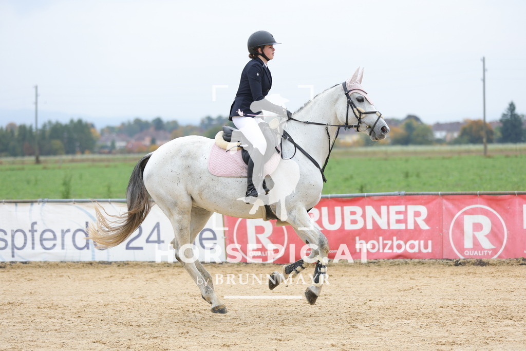 0P6A1289 | Willkommen bei Brunnmayr - Design & Fotografie – Ihrem Spezialisten für Reitturniere und Pferdeveranstaltungen in Oberösterreich, Salzburg und Bayern! Seit über 17 Jahren sind wir leidenschaftlich dabei.
