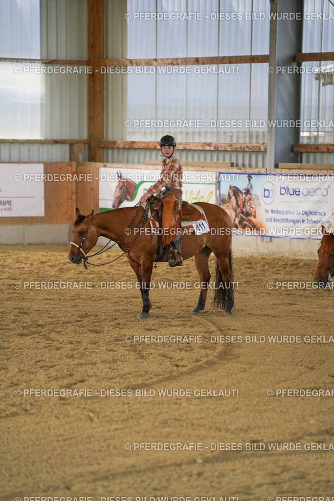 DSC08976 | Pferdegrafie