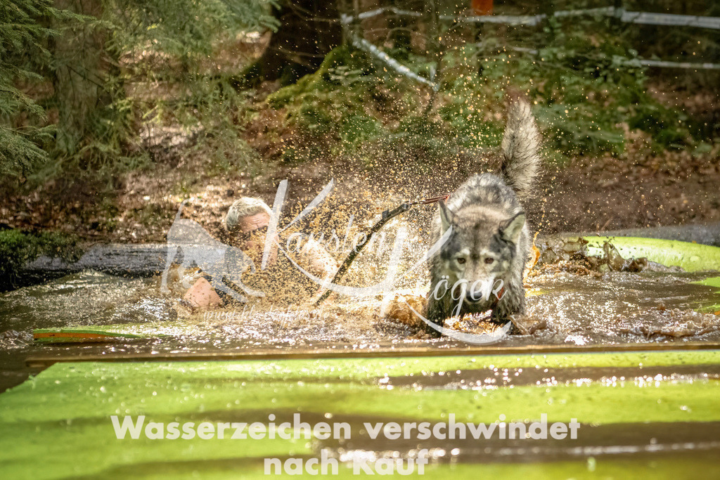 1406_ZZ91003-Bearbeitet | kk-dogfotos