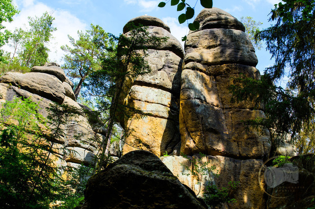 _DSC6060 | Shop für Prints Landschaftsfotografie Sächsische Schweiz Naturfotografie in Thüringen Fotos vom Findlingspark Nochten Kloster Sankt Marienstern Bilder Festung Königstein PanoramaRhododendronpark Kromlau FotogalerSchleswig-Holstein Küstenlandschaften