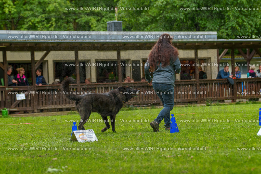 @allesWIRTHgut_Tierfotografie - www.allesWIRTHgut.de - 135542-7R500195 | Professionelle Tierfotografie in Mönchengladbach von Daniel Wirth (allesWIRTHgut). Liebevolle & natürliche Bilder von Hunden & Katzen für unvergessliche Erinnerungen.