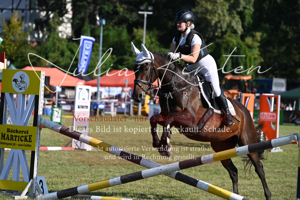 DSC_4991 | Pferde- und Turnierfotografie in Westsachsen. Pferdeportraits, Auftragszeichnungen und intuitive Kunst.