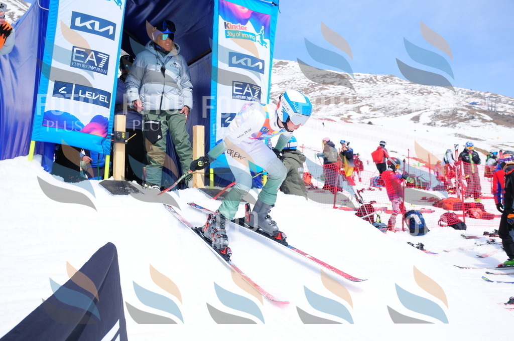 DSC_6621 | holidayphoto