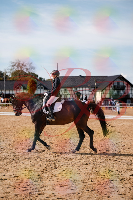 2026_10_03_Siefer-Hof_133502_Z63_94013625 | Professionelle Reitsport-, Turnier- und Eventfotografie von Robert Broda. Galerien mit ausgewählten und bearbeiteten Bildern direkt online ansehen und bestellen.