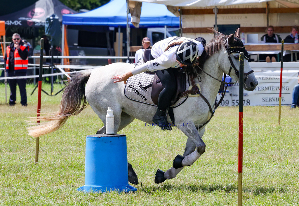 1B3A2350 | Reitsport Reiten