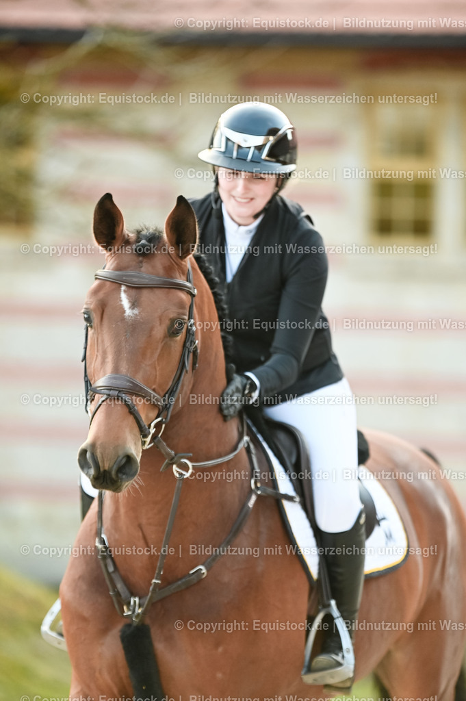 20260307_Hengstvorstellung-Marbach_0039 | equistock