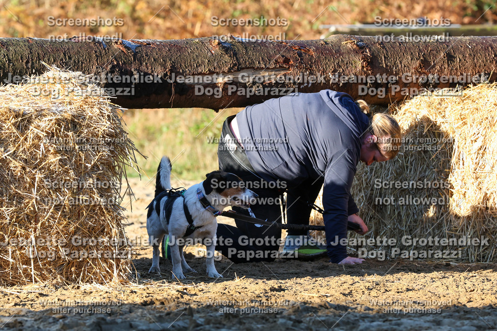 Dog Paparazzi - Strongdog 10-25-929 | Dog Paparazzi Jeanette Grottendiek Fotografie & Videografie - Realisiert mit Pictrs.com