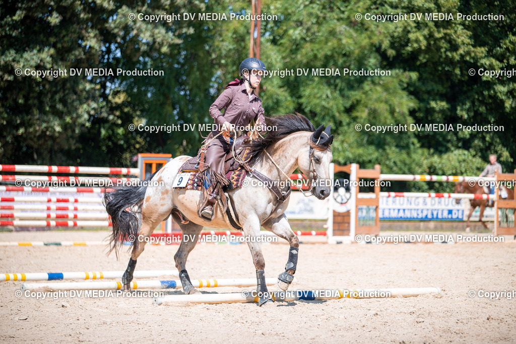 ZS1_1318 | dv-media-shop - Realisiert mit Pictrs.com