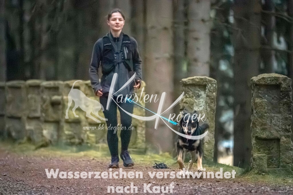 0830DZ6_3238 | kk-dogfotos