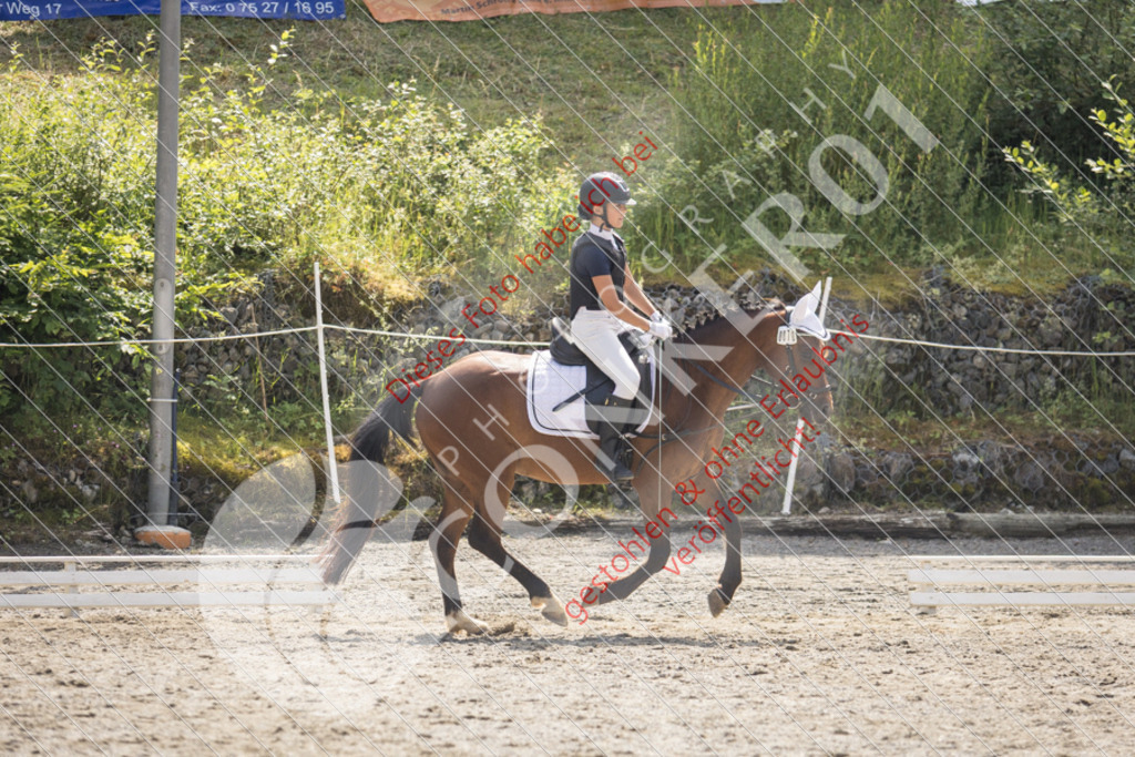 IMG_5011 | Sport-, Event- und Tierfotos in Profiqualität. Einfach auswählen, bestellen und herunterladen. Dein Moment – perfekt festgehalten.