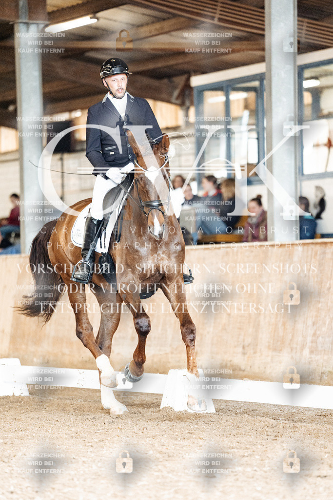 CK901643 | Turnierfotografie Pferdefotografie Trier Rheinland-Pfalz Pferdesport Reitsport Tierfotografie Sportfotografie Pferdevideo Pferdevideografie Equestrianvideography equestrianphotography  - Realisiert mit Pictrs.com