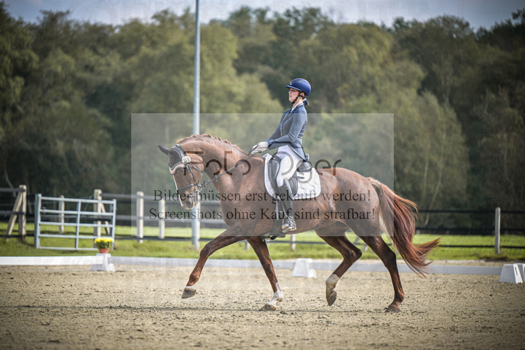 DOS_B635 | Entdecke hochwertige Reitturnierfotos von Foto Oger. Professionell, emotional und authentisch – jetzt Lieblingsmomente im Shop bestellen.Deutschlandweite Turnierfotografie. - Realisiert mit Pictrs.com