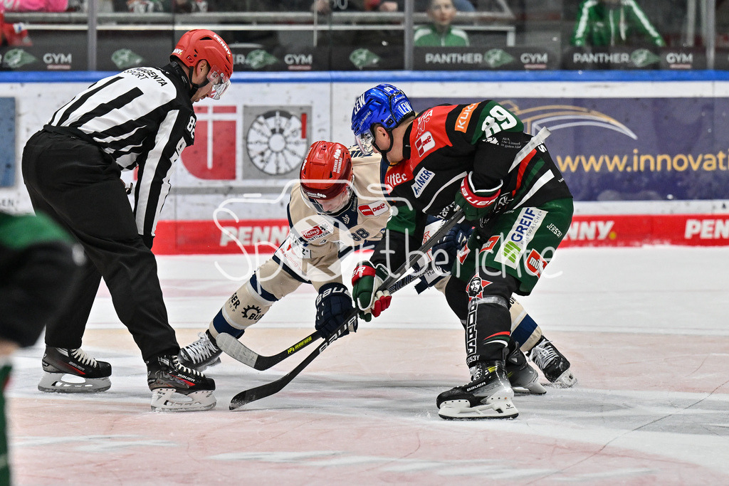 Augsburger Panther - Schwenninger Wild Wings | beim Bully Kyle PLATZER (Schwenninger Wild Wings 88)  und Mark ZENGERLE (Augsburger Panther #89) / DEL: Augsburger Panther - Schwenninger Wild Wings, Curt Frenzel Stadion am 24.01.2025