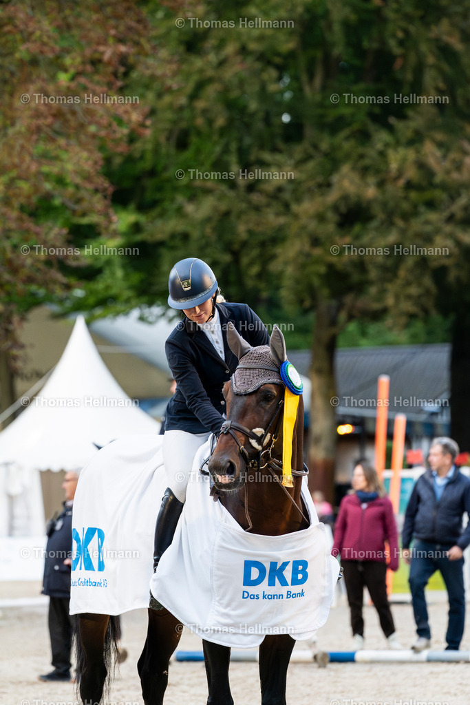 OWL.Ch.2024_DKB Championat_Amanda Slagter--2 | Der professionelle Turnierfotograf ✓ Reitsport Bilder ▷ Shop ✚ günstig & schnell ✚ mit Zugang für Redakteure