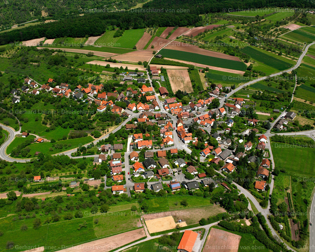 2506686 | Birkenweißbuch, Berglen