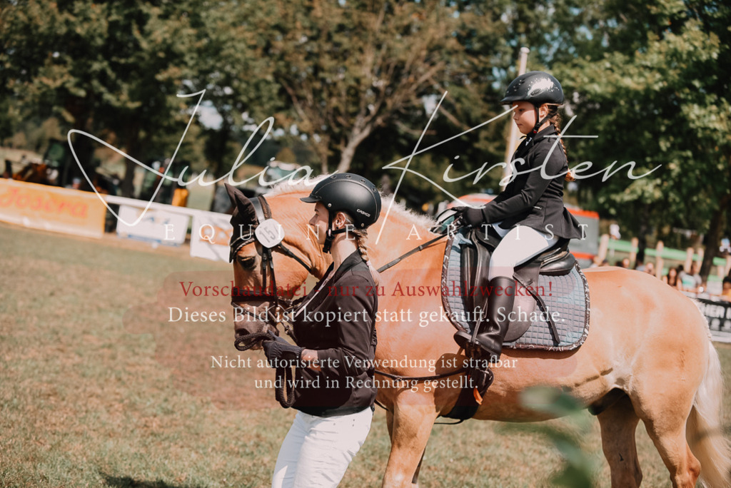 DSC_6127 | Pferde- und Turnierfotografie in Westsachsen. Pferdeportraits, Auftragszeichnungen und intuitive Kunst.