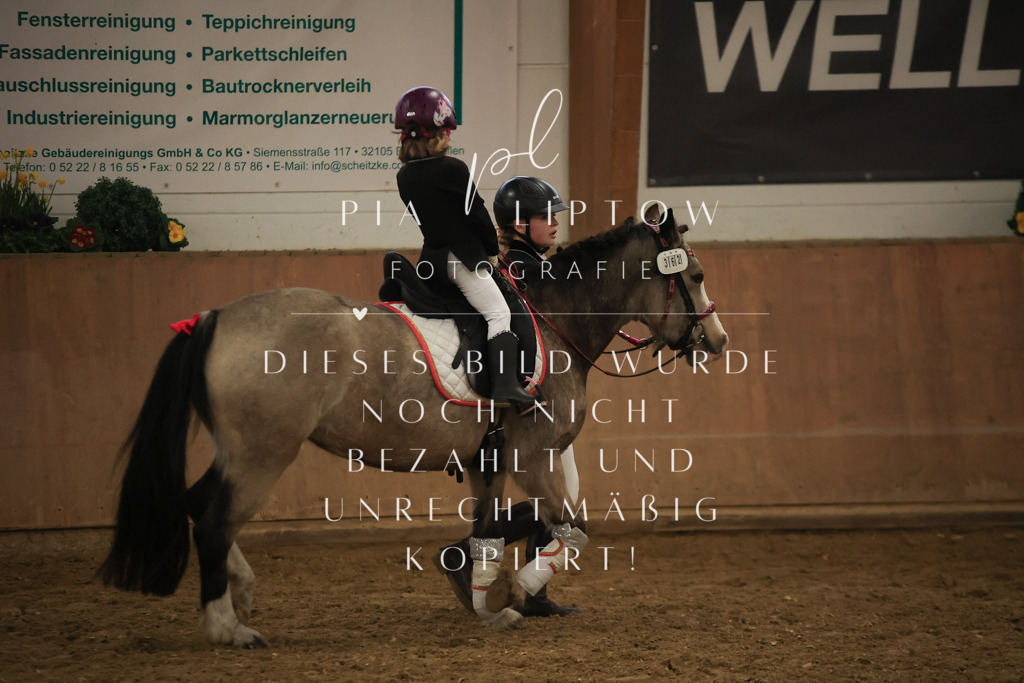 IMGT6779 | pl-fotografie