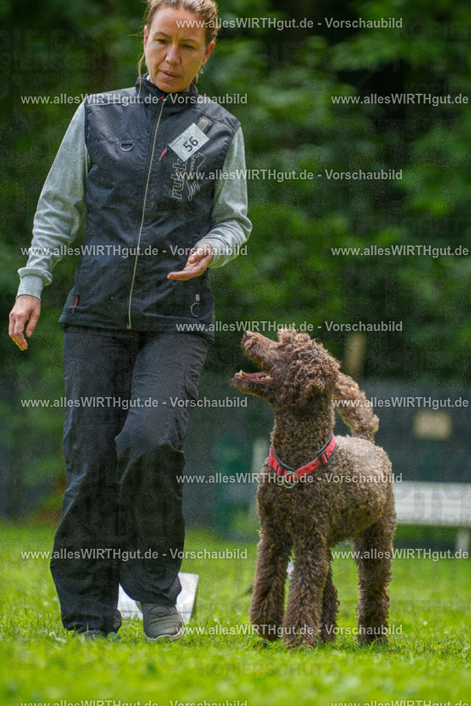 @allesWIRTHgut_Tierfotografie - www.allesWIRTHgut.de - 7R501105 | Professionelle Tierfotografie in Mönchengladbach von Daniel Wirth (allesWIRTHgut). Liebevolle & natürliche Bilder von Hunden & Katzen für unvergessliche Erinnerungen.
