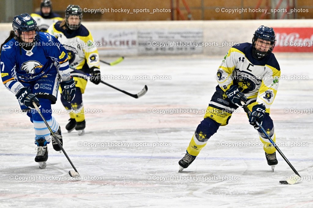 Wildcats Paternion vs. Lady Hawks  | #7 Fuchs Lena LADY HAWKS, #16 Anton Sandra WILDCATS PATERNION, Wildcats Paternion vs. Lady Hawks , Wildcats Paternion vs. Lady Hawks  am 27.01.2025 in Spittal an der Drau (Eissportzentrum Spittal), Austria, (Photo by Bernd Stefan)