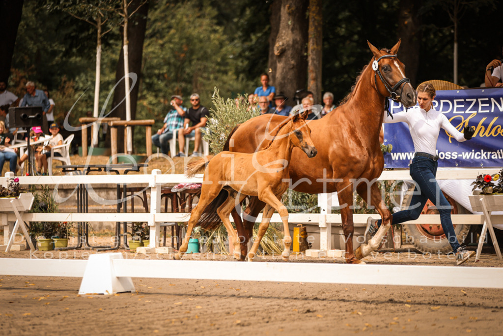 SaPA00026 | Leoni Ertmer Photography - Realisiert mit Pictrs.com