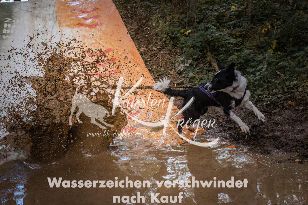 0852_ZZ90981 | kk-dogfotos