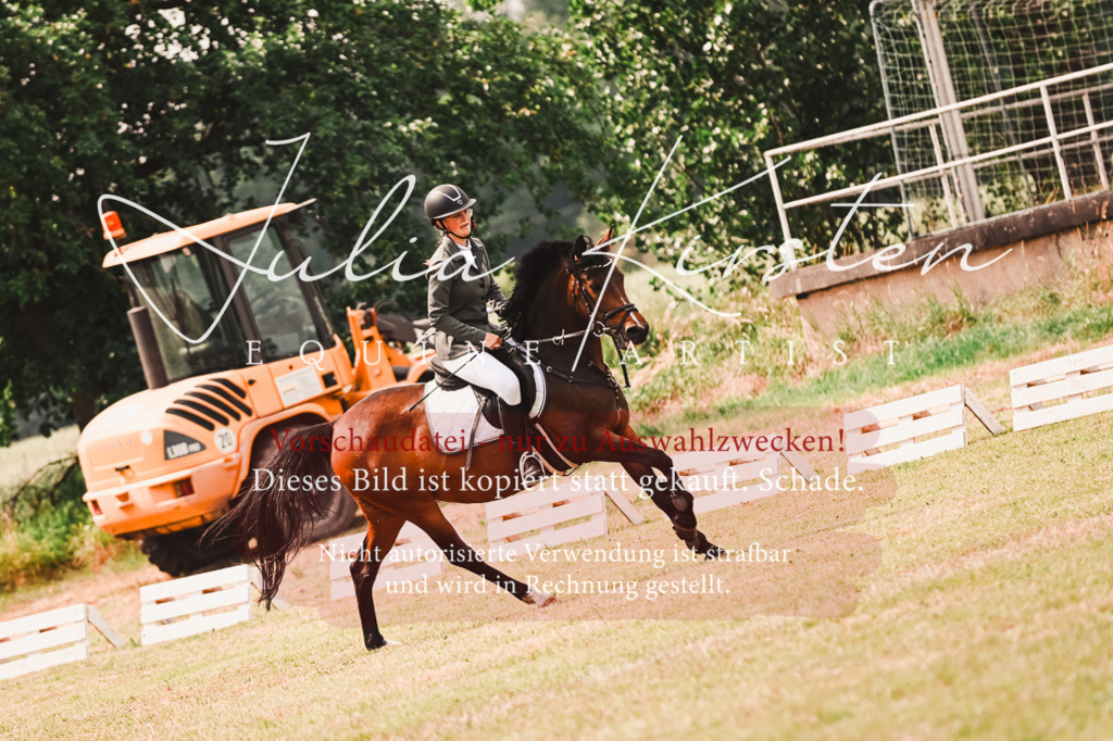 DSC_6905 | Pferde- und Turnierfotografie in Westsachsen. Pferdeportraits, Auftragszeichnungen und intuitive Kunst.
