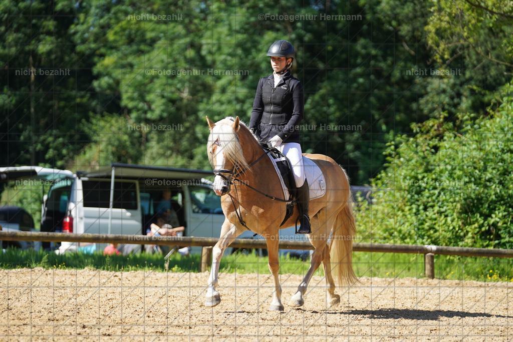 20240706-FAH04718 | Grafing Turnierfotos, Reitverein Ebersberg, Turnierfotografen Bayern, reitsportbilder, Pferdefotograf, reitsportfotograf, Sportbilder, Reitsportfotografie, Fotoagentur Herrmann, Turnierfotograf