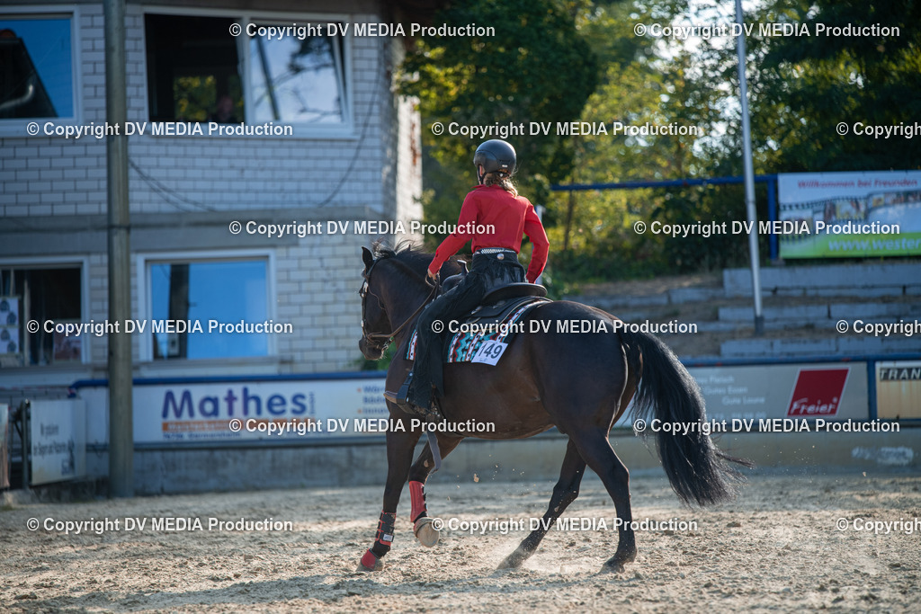 EWP_7139 | dv-media-shop - Realisiert mit Pictrs.com