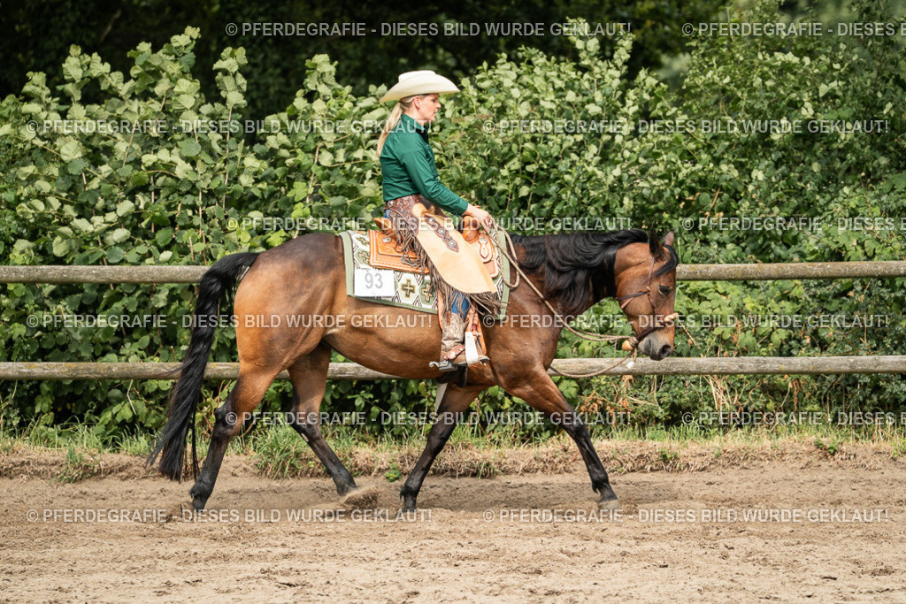 DSC03590 | Pferdegrafie