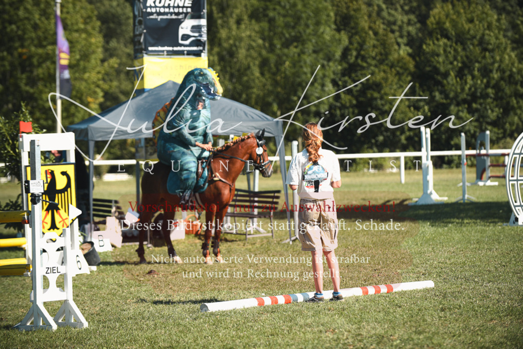 DSC_7638 | Pferde- und Turnierfotografie in Westsachsen. Pferdeportraits, Auftragszeichnungen und intuitive Kunst.