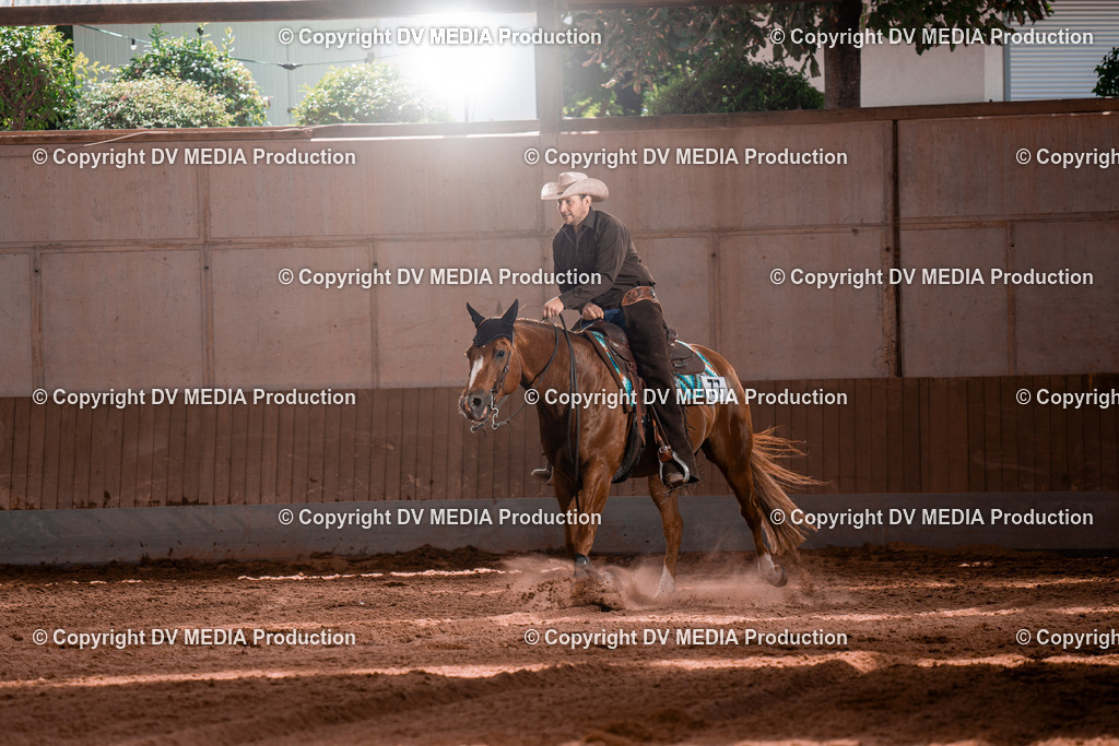 NE100688 | dv-media-shop - Realisiert mit Pictrs.com