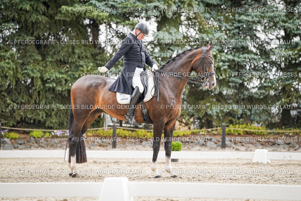 DSC06979 | Pferdegrafie