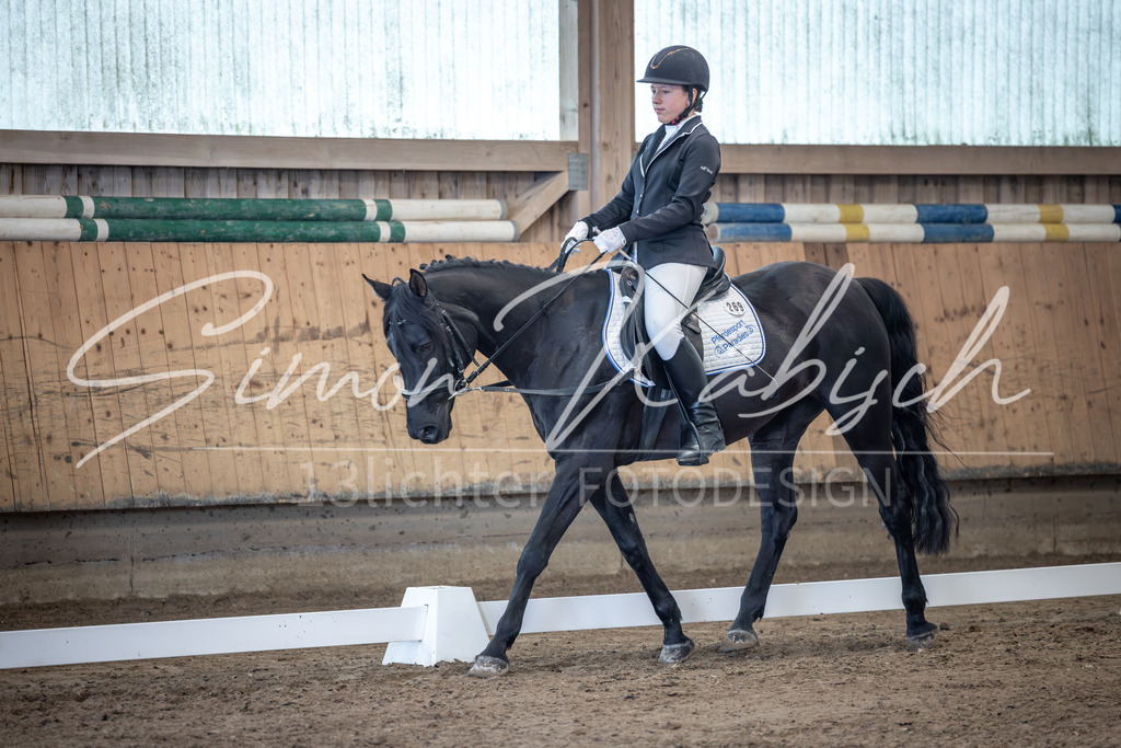 20251011-_3LI7747 | Tierfotografie Pferde, Hunde, Katzen, Haustiere.
Turnierfotografie Reitturniere, Reiten, Springreiten, Dressur in Hanau, dem Main-Kinzig-Kreis und dem Rhein-Main- Gebiet um Frankfurt