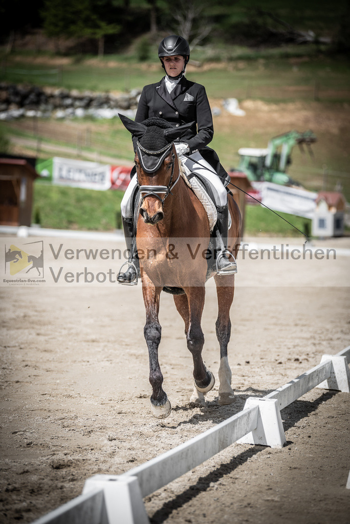 DSC_2176 | equestrian-live-com