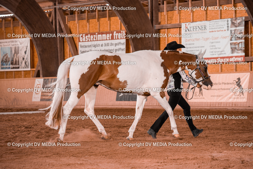 NE200081 | dv-media-shop - Realisiert mit Pictrs.com