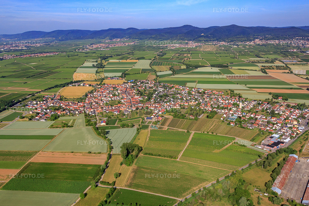 Luftbild: Ortsansicht von Osten im Ortsteil Lachen in Neustadt im Bundesland Rheinland-Pfalz in Deutschland. Foto: IMG_080955.jpg vom 14.06.2015 durch Werner Riehm/FLY-FOTO.de
