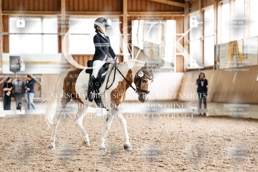 CK900458 | Turnierfotografie Pferdefotografie Trier Rheinland-Pfalz Pferdesport Reitsport Tierfotografie Sportfotografie Pferdevideo Pferdevideografie Equestrianvideography equestrianphotography  - Realisiert mit Pictrs.com