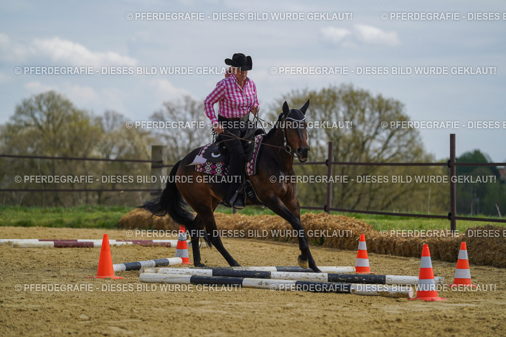 DSC05181 | Pferdegrafie