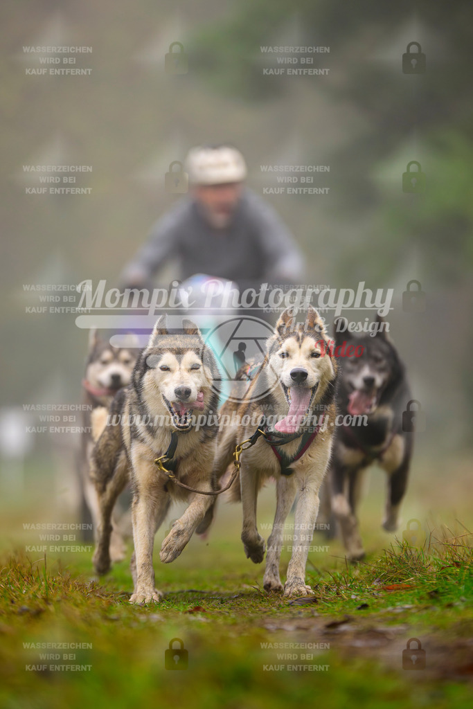 MompixPhotography_Bischwiller2025_Kart-37 | mompixphotography