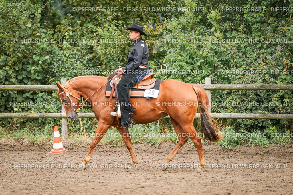 DSC03548 | Pferdegrafie