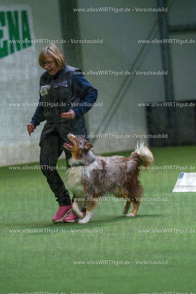 7R506395 | Professionelle Tierfotografie in Mönchengladbach von Daniel Wirth (allesWIRTHgut). Liebevolle & natürliche Bilder von Hunden & Katzen für unvergessliche Erinnerungen.