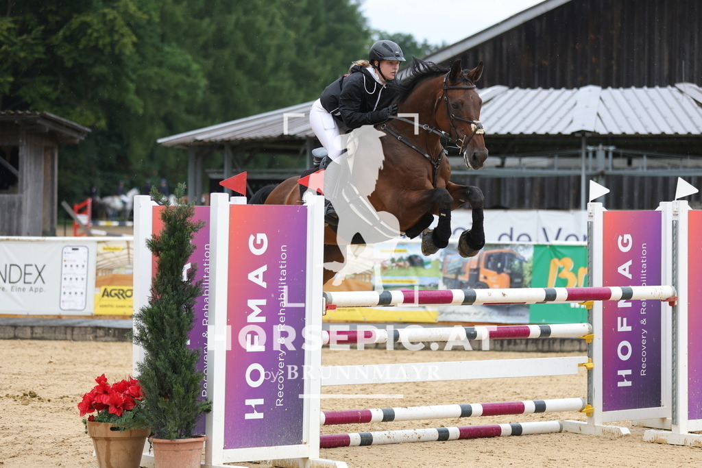 0P6A2818 | Willkommen bei Brunnmayr - Design & Fotografie – Ihrem Spezialisten für Reitturniere und Pferdeveranstaltungen in Oberösterreich, Salzburg und Bayern! Seit über 17 Jahren sind wir leidenschaftlich dabei.