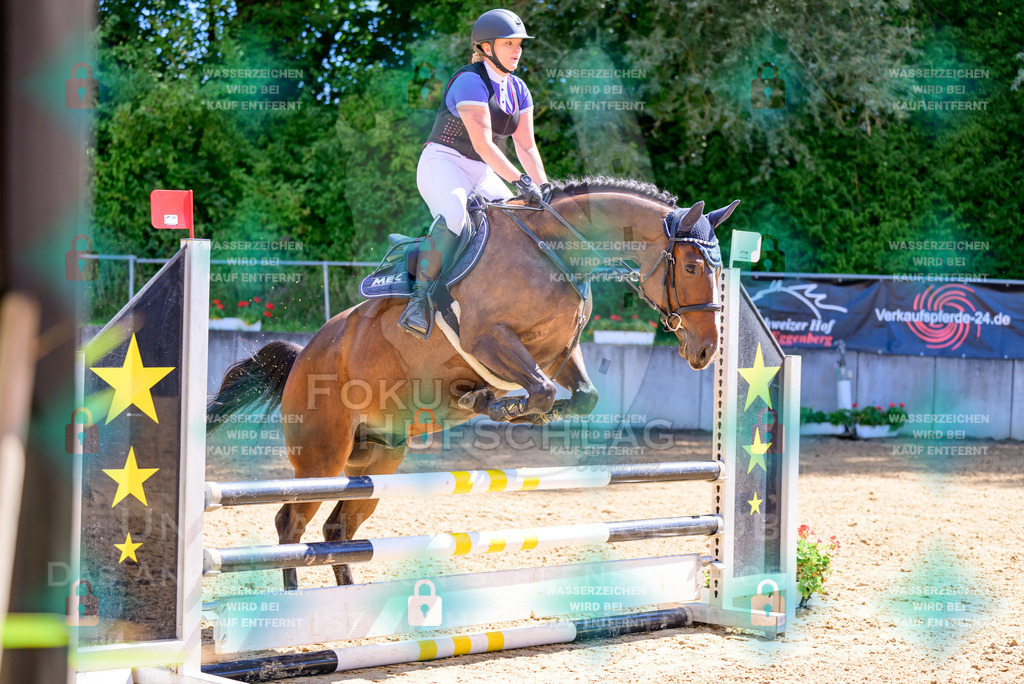 29082026-Giesenbach-Prfg10-0831 | Fokus Hufschlag Fotografie - Realisiert mit Pictrs.com