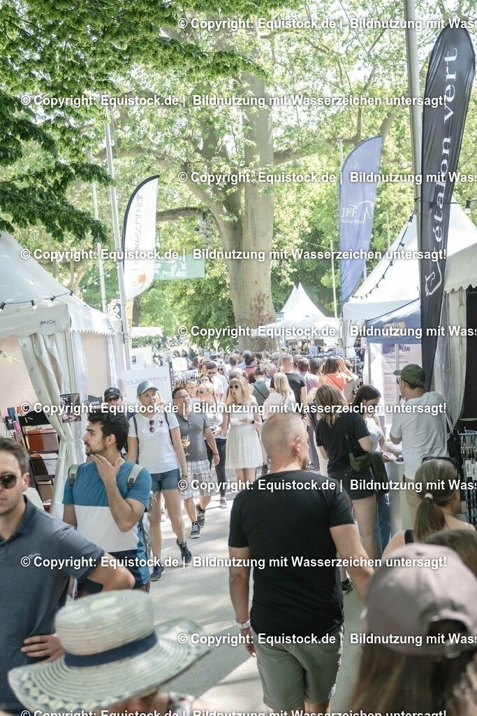 ZFC_4317 | equistock