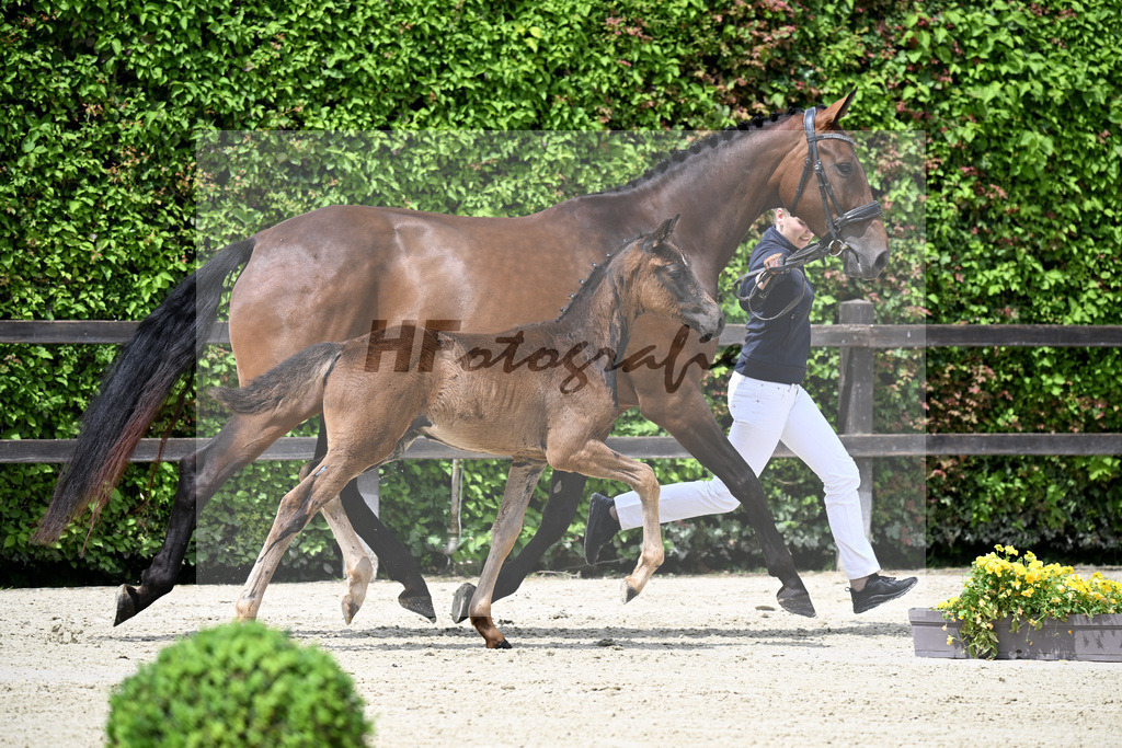 Kat-Nr. 4 Bonhoeffer x Danone_Zweckl_25240230 | hf-fotografie - Realisiert mit Pictrs.com