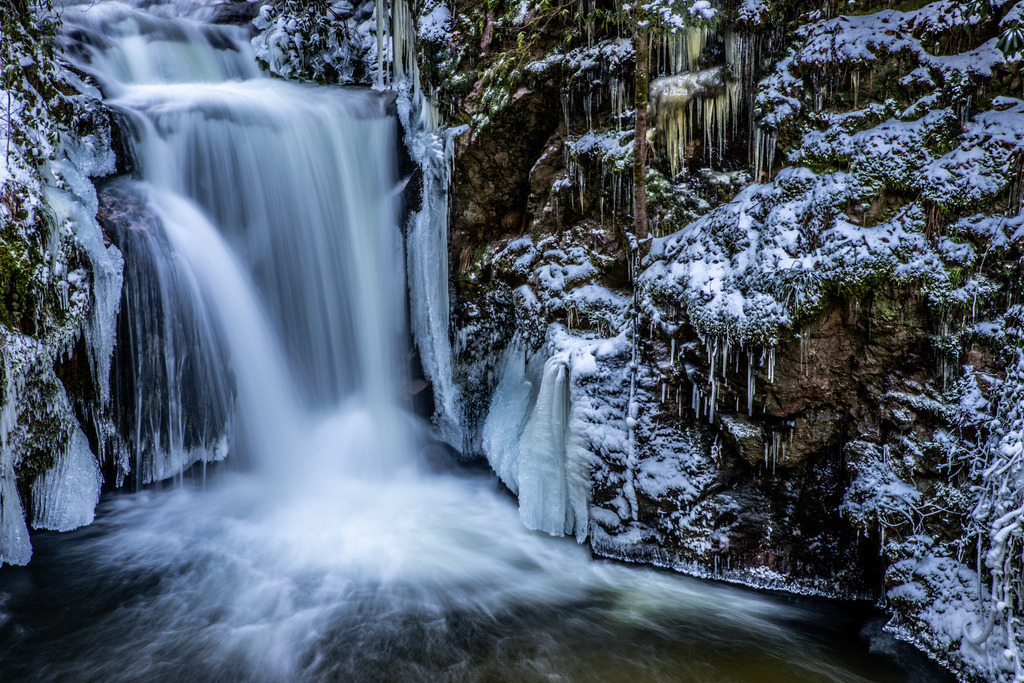 IMG_1065 | ehrlichefotos - Realisiert mit Pictrs.com