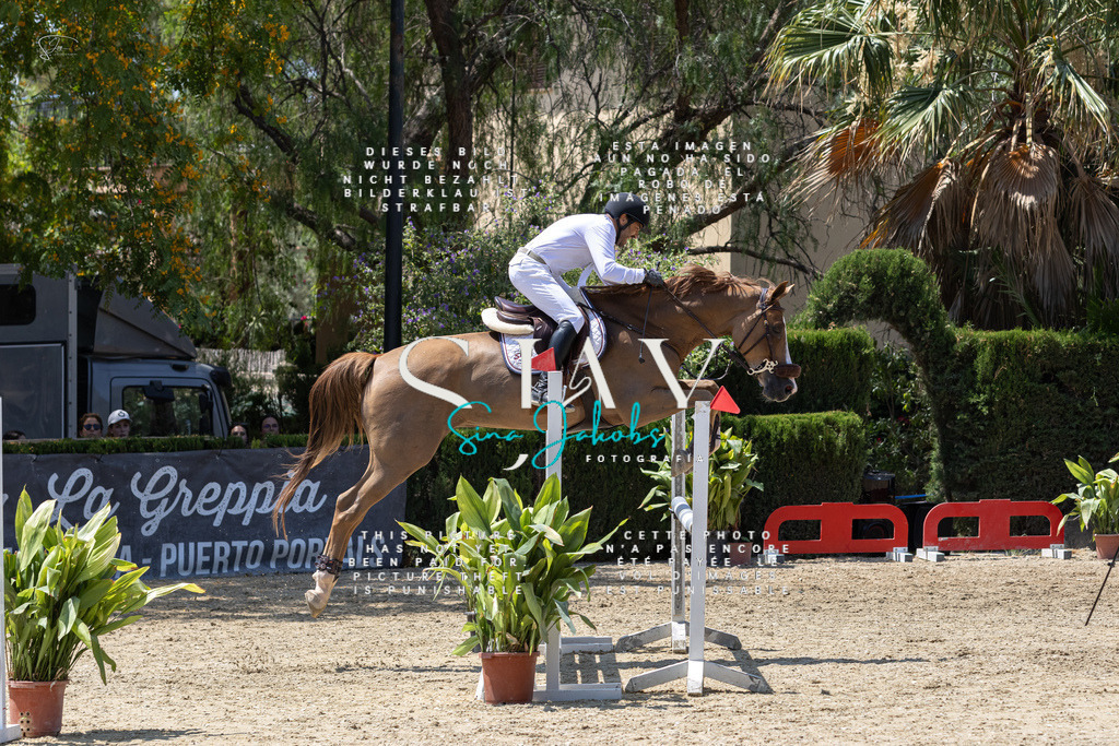 IMG_0802 | s-jay-photography - Realisiert mit Pictrs.com