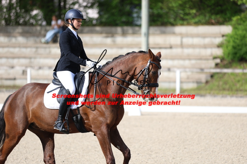 A40A3557 | lmwpictures - Realisiert mit Pictrs.com