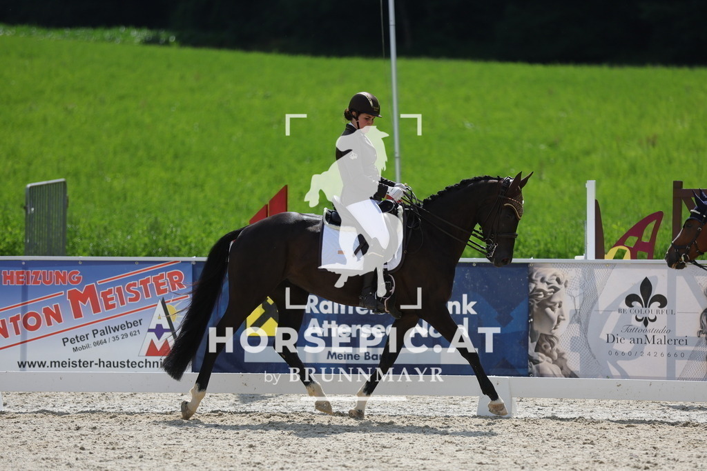 0P6A6256 | Willkommen bei Brunnmayr - Design & Fotografie – Ihrem Spezialisten für Reitturniere und Pferdeveranstaltungen in Oberösterreich, Salzburg und Bayern! Seit über 17 Jahren sind wir leidenschaftlich dabei.